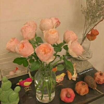 万博·体育下载手机版截图